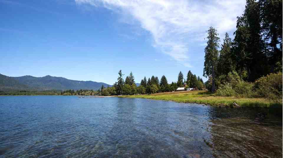 Lake Quinault in the US state of Washington