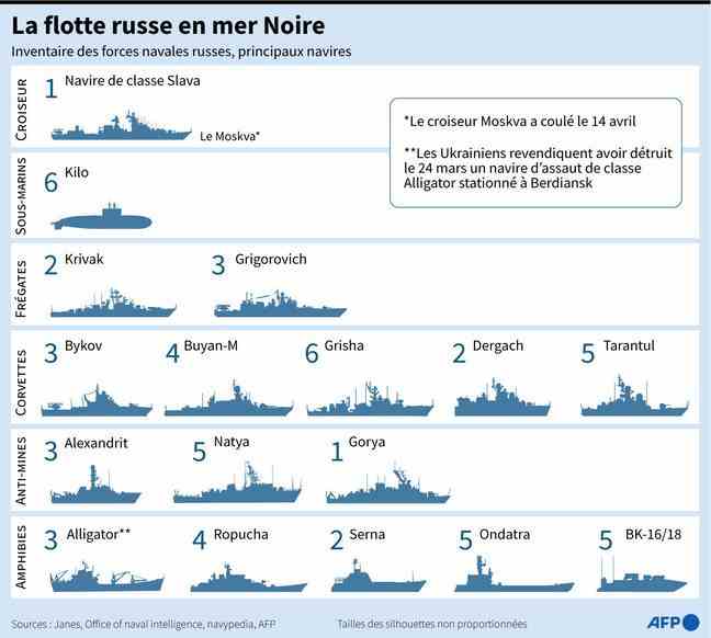 Inventory of the Russian fleet in the Black Sea by type of ships. 