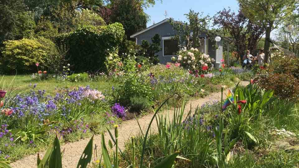 Out into the green: Welcome to my paradise - an ode to the allotment garden in times of crisis