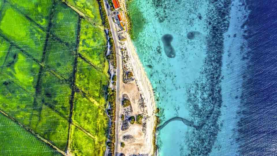 Ideal fishing area on the Bonaire coast.