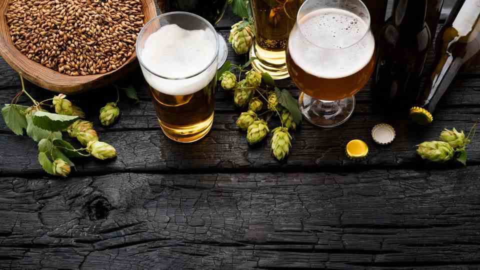 If you want to brew beer yourself, you need the right ingredients