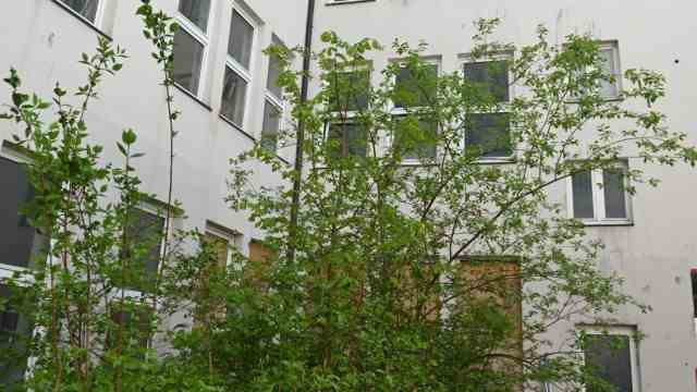 Schwanthalerstraße: The inner courtyard of the building is to be greened, but there is not much time for that.
