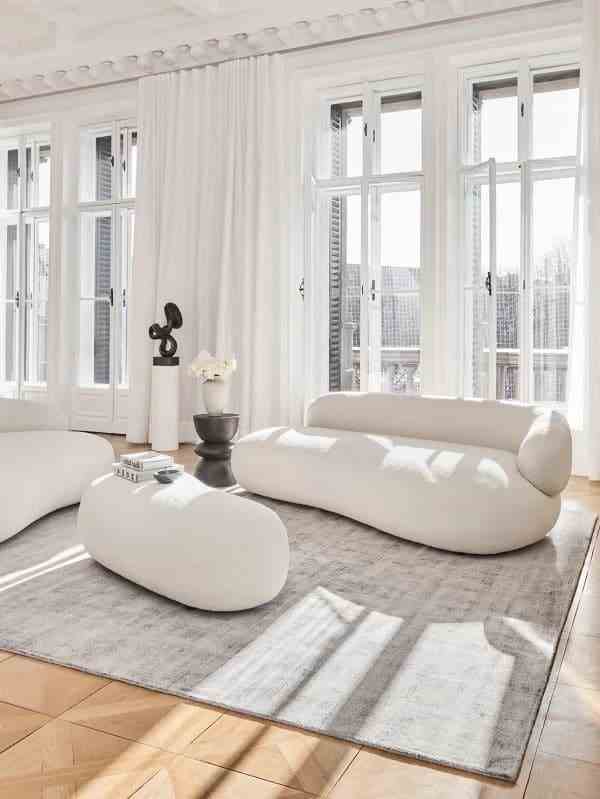 The Carpet, An Asset In The Minimalist Living Room 