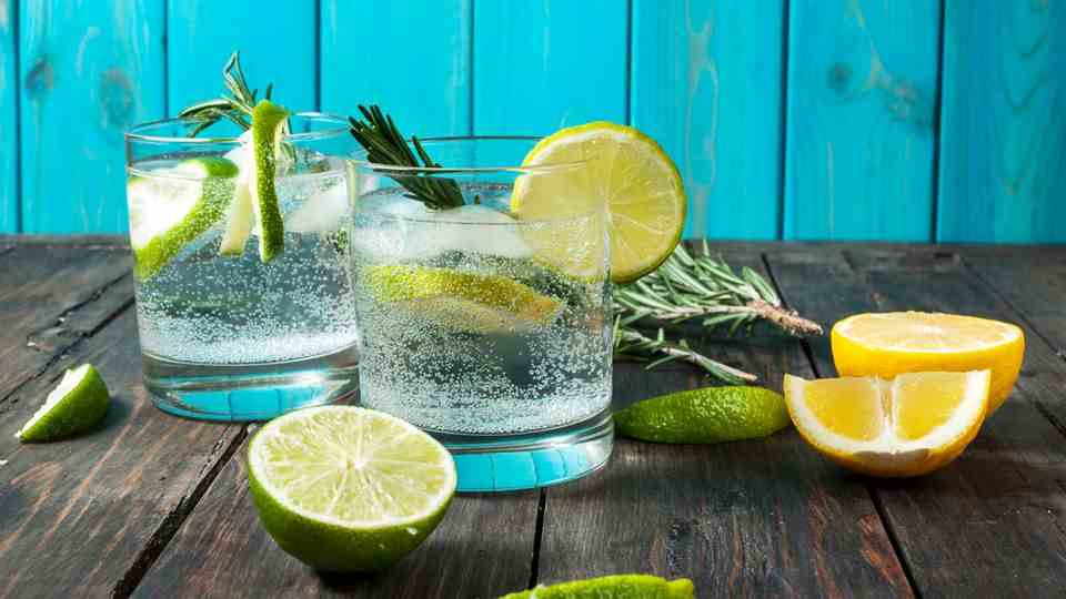 Gin and tonic for hay fever