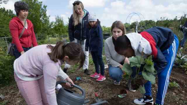 Unterschleißheim: Pupils from the special educational support center in Unterschleißheim work in the school garden.  Tanja Stattek from the support center, Manuela Breitenberger from the AOK and Katharina Rudolph from the Acker eV association (from left to right) help them with this.