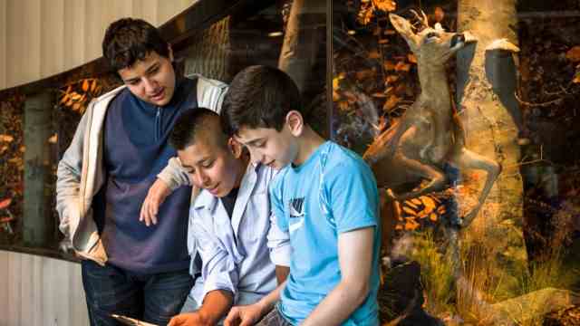 Sustainability in Hamburg: In the permanent exhibition, children can learn something about the forest in a playful way.