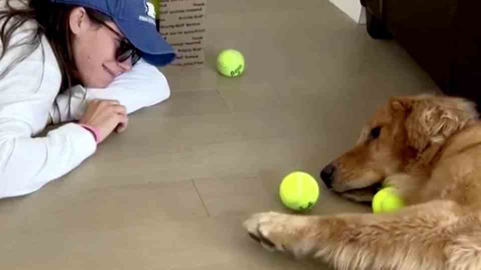 Cute animal video: Golden Retriever Hudson is probably the most relaxed dog in the world