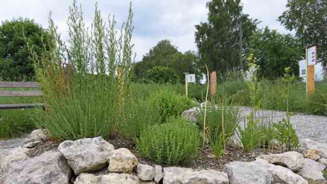 Award for six projects: The wild bee garden is one of four projects from Puchheim that have been considered together with the environmental award.