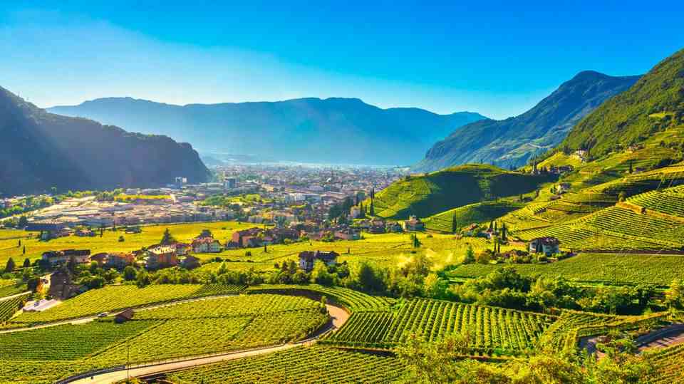 South Tyrolean winegrowing View of Bozen