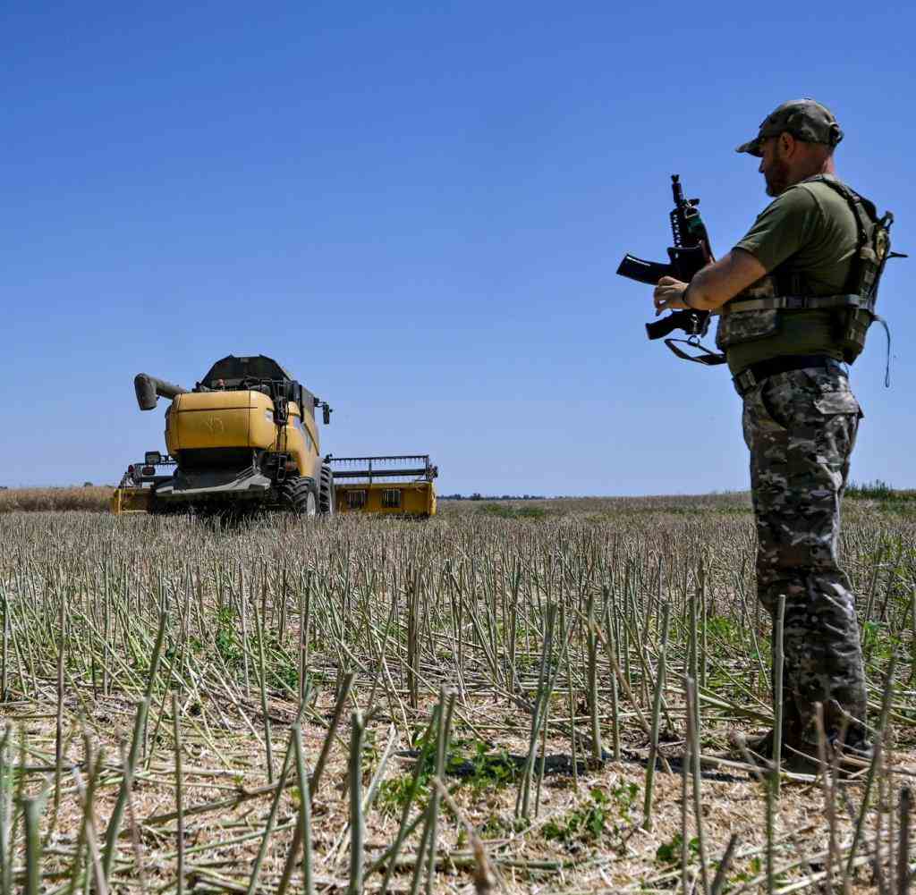 Ein Soldat steht während der Erntezeit auf einem Feld im ukrainischen Saporischschja