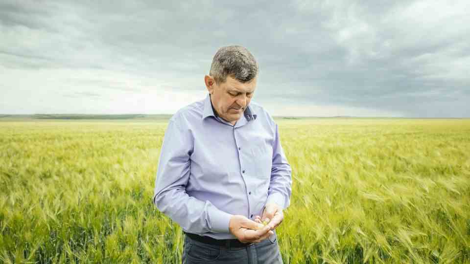 Juryy Yalovchuk in his still green cornfield