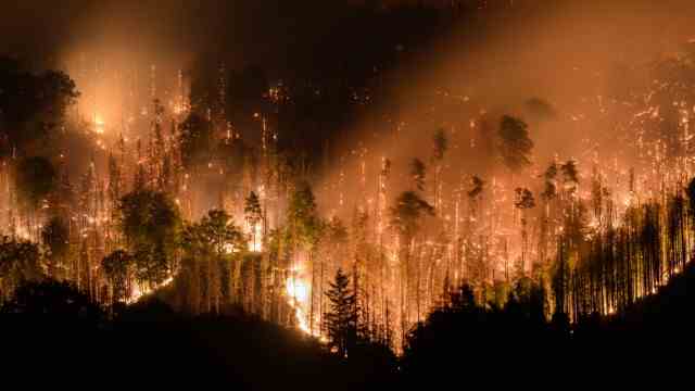 Forest fires: The Czech national park Bohemian Switzerland, on the border with Saxony, is on fire.