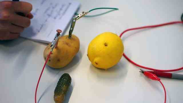 Sommerferien in München: Energie der Zukunft: Auch aus Kartoffeln oder Zitronen lassen sich Batterien bauen. Wie das geht, kann man in den Ferien-Workshops im Deutschen Museum ausprobieren.