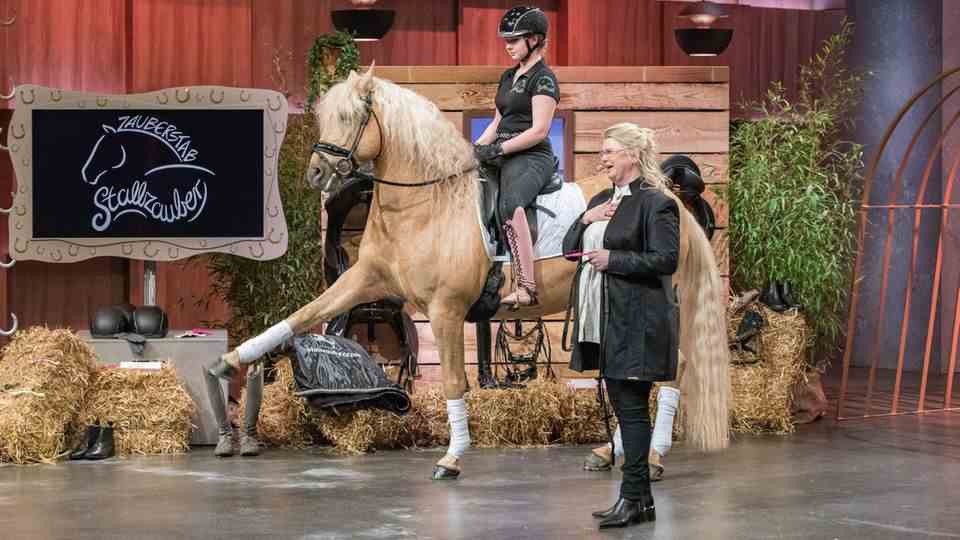 Stable Magic A horse in the TV studio made investor Ralf Dümmel pull out his wallet.  The was presented "Stable Magic Wand", a training aid intended to improve balance while riding.  But after the animal appearance, nothing came of the deal.  Because of "different strategic orientations" the investment did not come about, explained Dümmel on his Twitter channel.