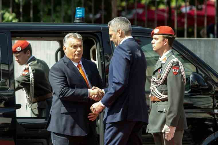 Hungarian Prime Minister Viktor Orban (L) welcomed by Austrian Chancellor Karl Nehammer on July 28, 2022 in Vienna (AFP / Alex HALADA)