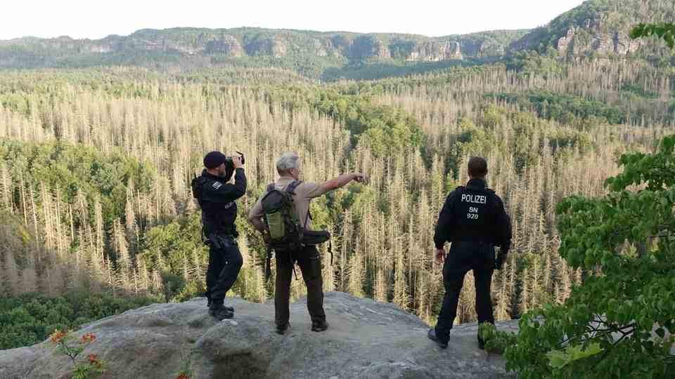 Police officers and rangers on patrol through Saxon Switzerland to prevent forest fires