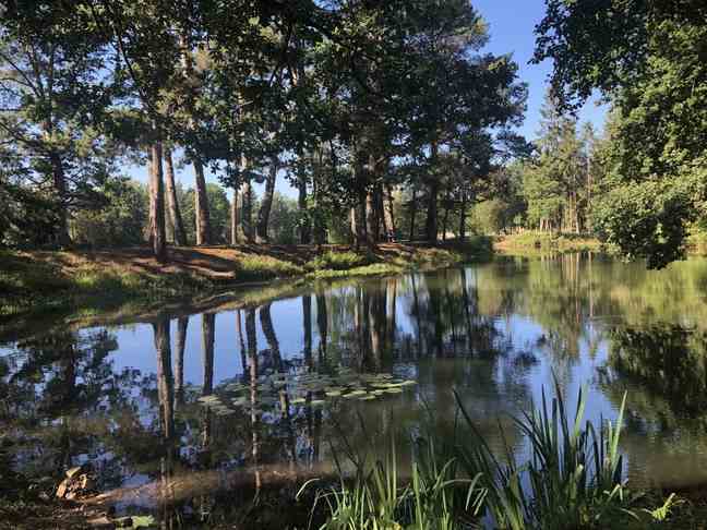 Next to Rennes, the pond of Pérelle has been the subject of small developments to receive the public. 