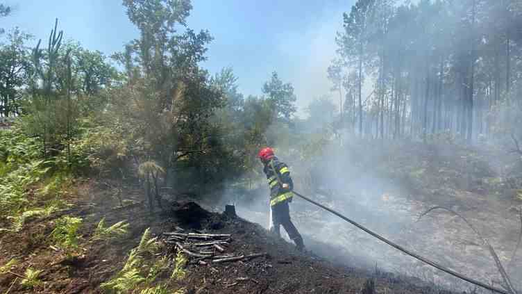 À Landiras, les pompiers ont lutté toute la journée pour éteindre des reprises de feu et de gros foyers ravivés par la chaleur et le vent tournant, le 17 juillet 2022. (ROMANE BRISARD / RADIO FRANCE)
