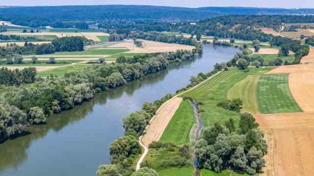 Species protection: The first 20,000 young Zingels are being released into the wild in two places near Eining in the Kelheim district (pictured) and a renatured section of the Danube near Pförring in the Eichstätt district.