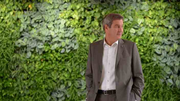 Energy crisis: Bavaria's Prime Minister Markus Söder in front of the plant wall in the cabinet room.  Although green dominates here, he has a bad relationship with the party.  He feels badly treated by the traffic light coalition.