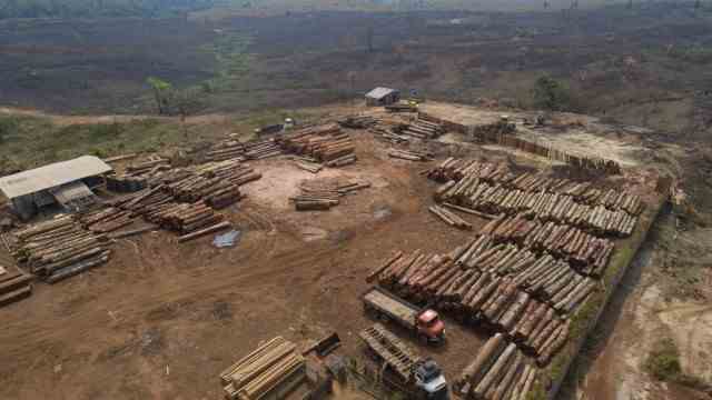 Environmental protection: The deforestation of the rainforest is a global problem - the picture shows a sawmill in Brazil, surrounded by charred and deforested areas.