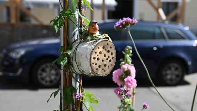 SZ series: Green in grey: wild bee hotels have also been considered.