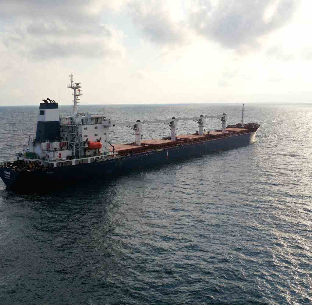 FILE PHOTO: First grain ship departing Ukraine arrives in Turkey for inspections