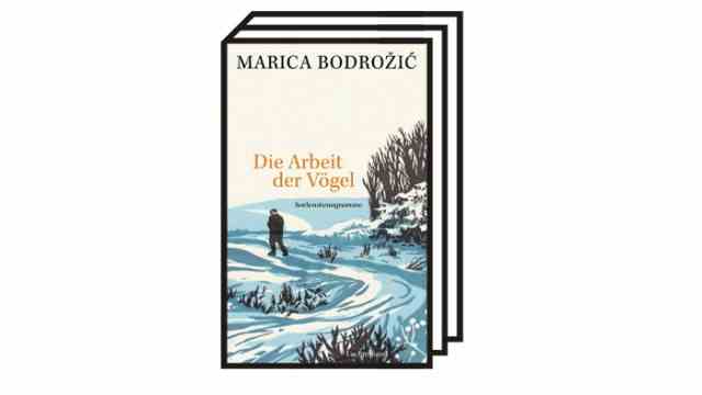 Essay: "The work of the birds" by Marica Bodrožić: Marica Bodrožić: The work of the birds.  soul shorthand.  Luchterhand, Munich, 2022. 348 pages.  22 euros.