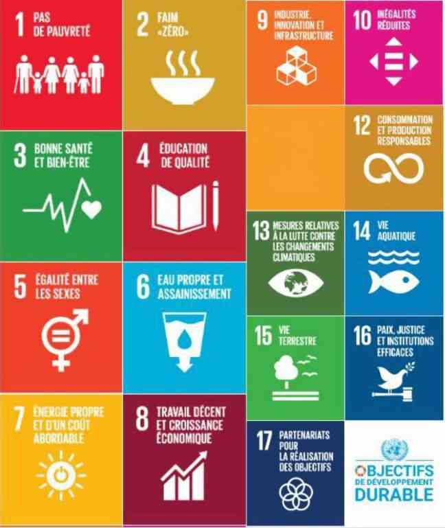 The 17 UN Sustainable Development Goals.