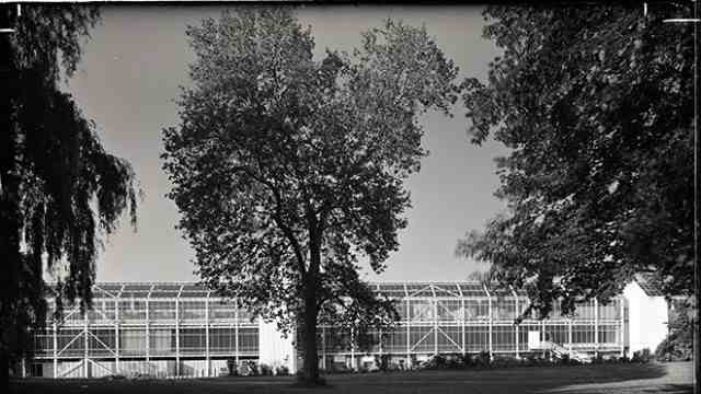 Culture & Sport: Paolo Nestler built over the terrace of the Haus der Kunst like a conservatory.