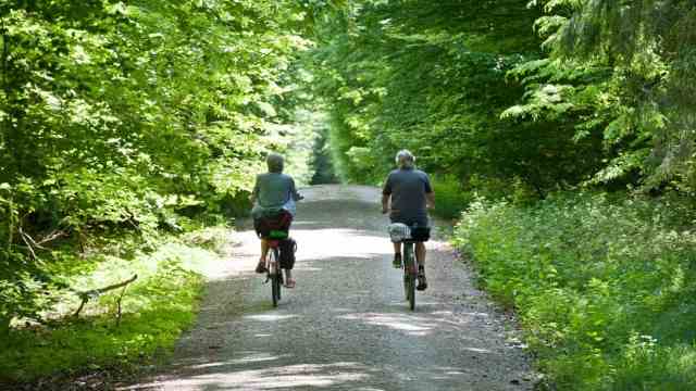 Tourism in the district of Ebersberg: Cycling under the trees is particularly pleasant in the hot summer.