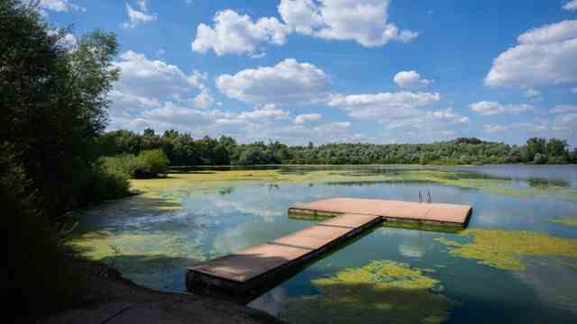 Drought, fires, low water: Caution, poisonous: A bathing ban was imposed on the quarry pond Breitengüßbach in the district of Bamberg.  A carpet of blue-green algae is to blame.  The bacteria can also harm people.