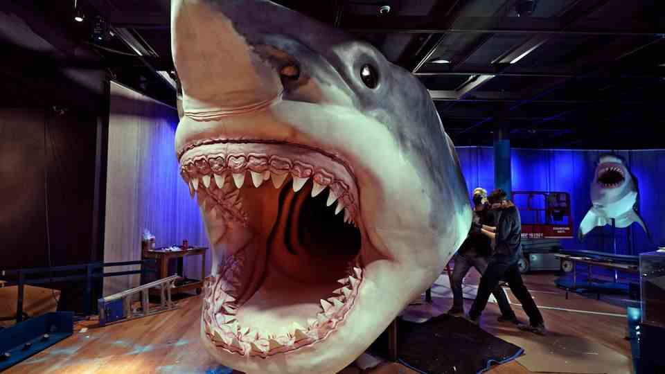 A model of a megalodon, an extinct basking shark, is being built at the American Museum of Natural History in New York 