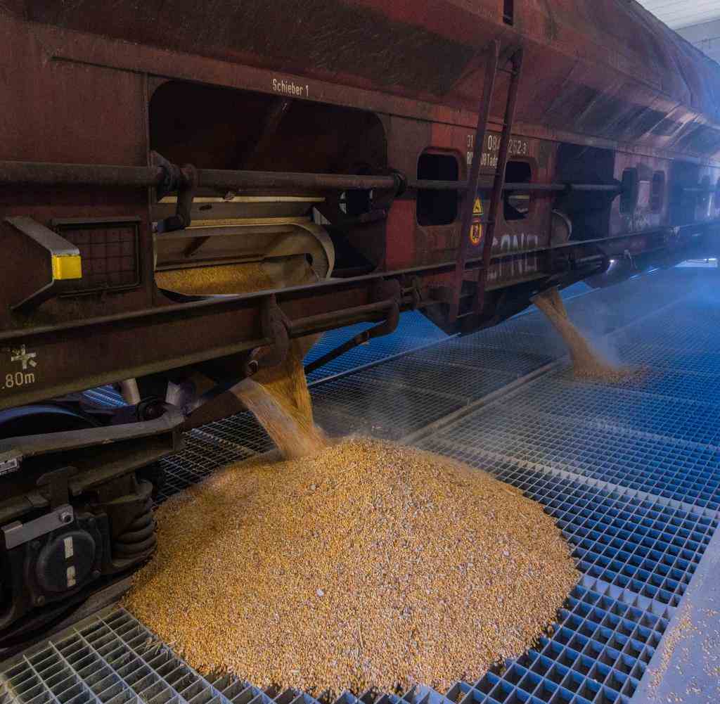 Rostock: 1200 Tonnen Mais wurde mit einem 450 Meter langen Zug – 21 Waggons – angeliefert. Er wird nun zunächst eingelagert. Vier weitere Züge sollen in den nächsten Wochen folgen