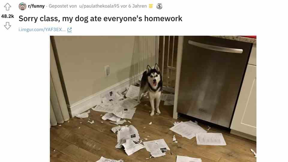 Reddit post on dog eating homework.