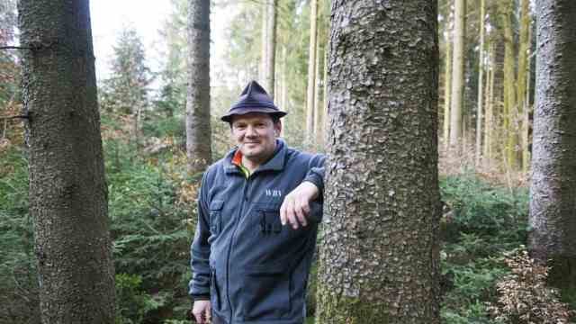 Wood theft: Unfortunately, firewood theft is nothing new for Werner Fauth, chairman of the Ebersberg/Munich-East forest owners' association.