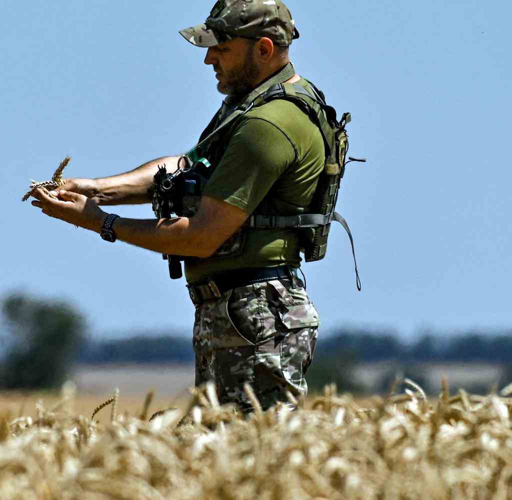 Zaporizhzhia Region, Ukraine - July 17, 2022 - A serviceman holds wheat ears during the harvest season, Zaporizhzhia Region, southeastern Ukraine. This photo cannot be distributed in the Russian Federation. Photo by Dmytro Smolyenko/Ukrinform/ABACAPRESS.COM