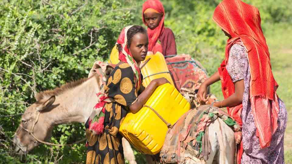 Ethiopian women with a donkey