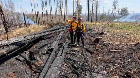 Task forces of the fire special unit look at a forest fire area in the Harz Mountains.  © dpa photo: Matthias leg