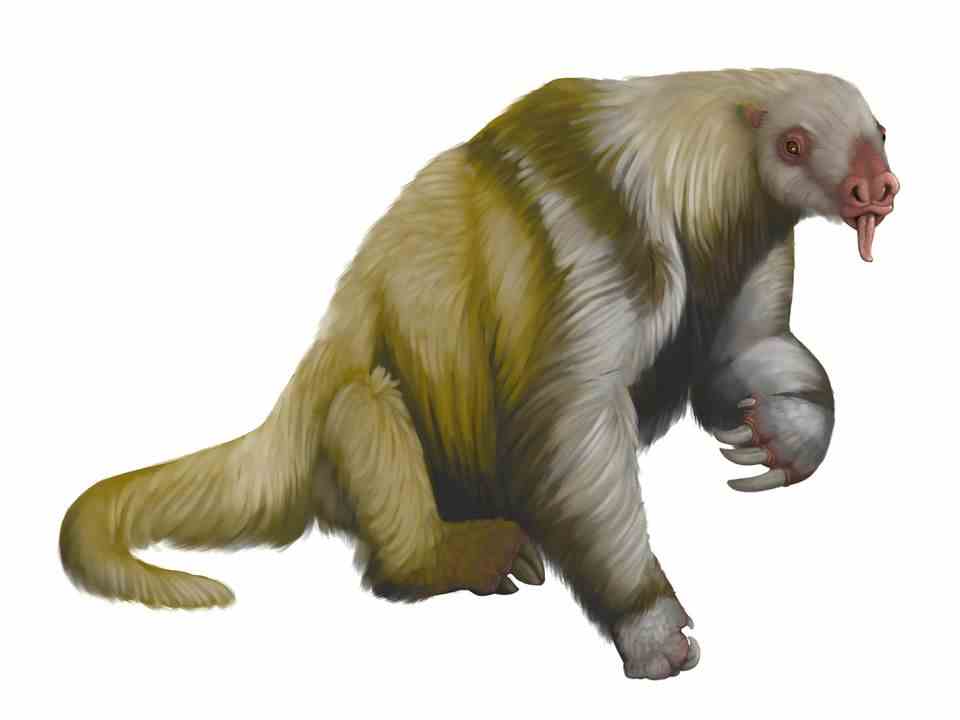 This is what the giant sloths looked like.  Children also played in their footsteps during the Ice Age.