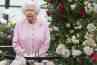 Audiences: Winning bet for the special Elizabeth II evening on France 2, C8 stronger than M6