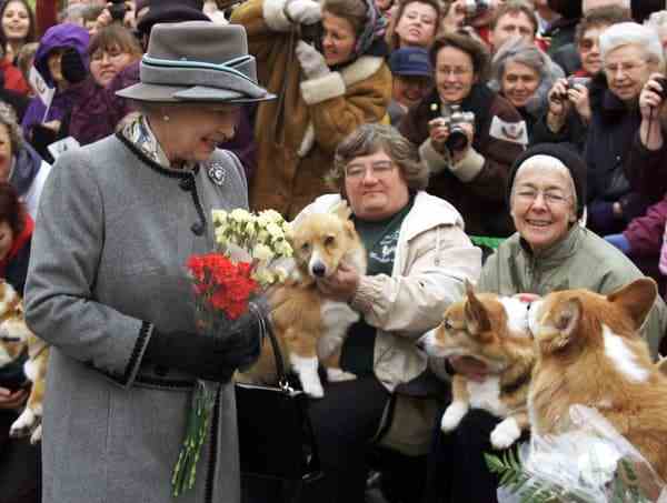 La reine Elizabeth II rencontrant une association de fans de chiens corgis en octobre 2002