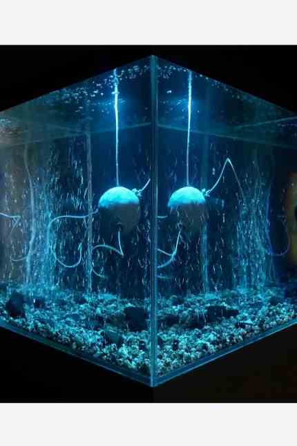 Triennale Milan: The Underwater Robot "ArchaeaBot" is by Anna Dumitriu and Alex May from 2018-19.