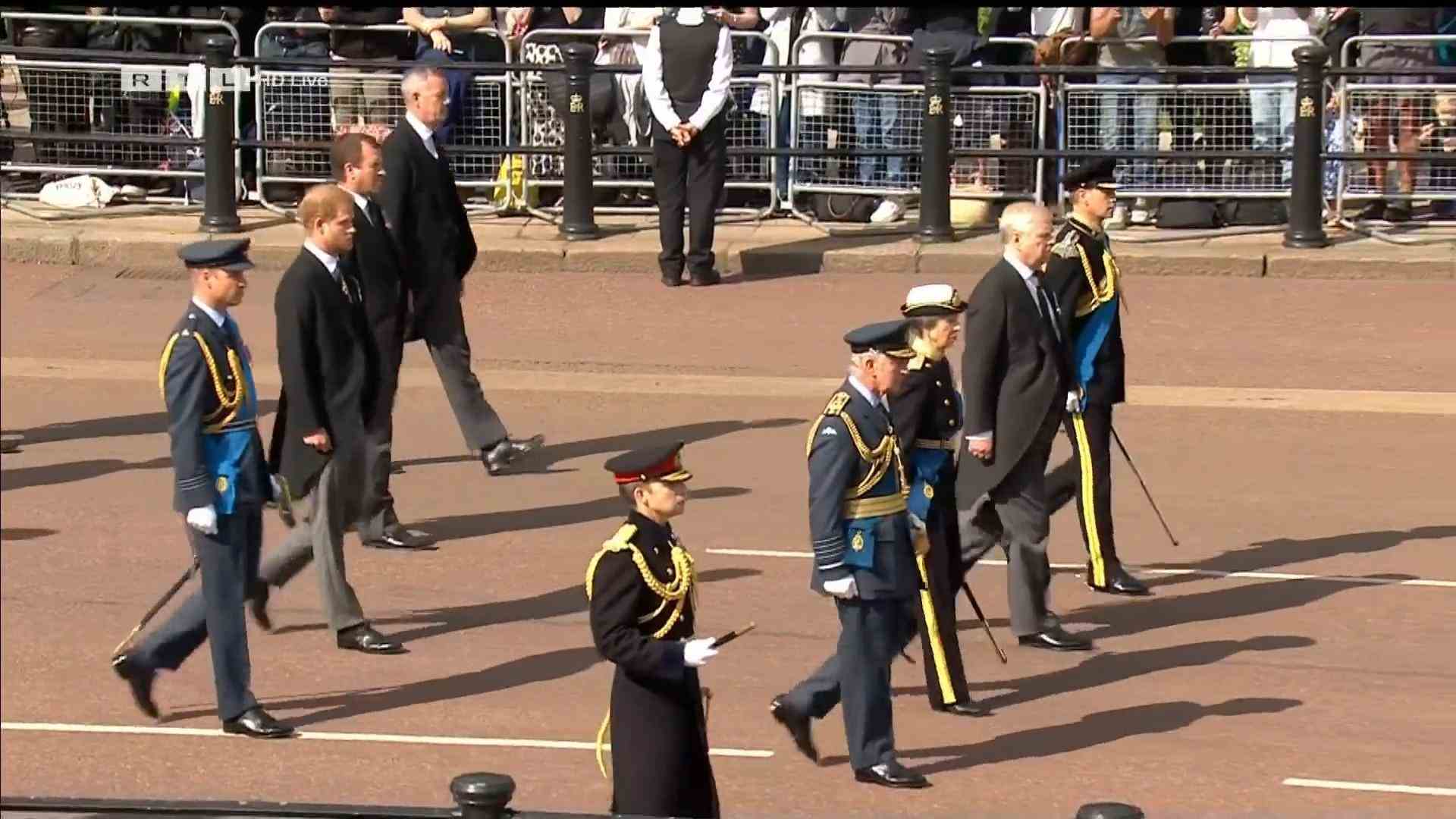 William & Harry walk through London behind the Queen's coffin