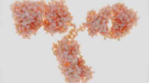 Immunoglobulin molecule (Photo: IMAGO, Science Photo Library)