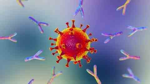 Antibodies react to virus (Photo: IMAGO, Science Photo Library)