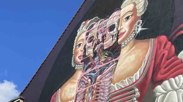Street Art Hotel: Dissected on a house wall with paint and a pointed brush - this is how the Viennese artist Nychos sees the Margravine Wilhelmine of Bayreuth.
