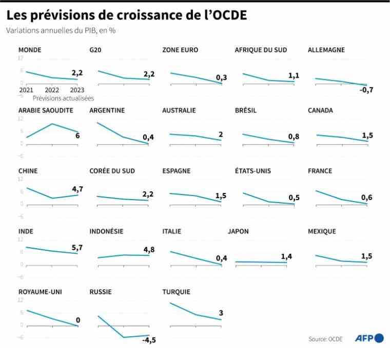 Revised OECD growth forecasts for the period 2021-2023 ( AFP / )