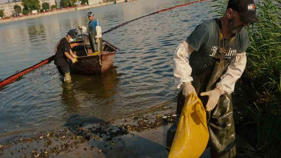Instead of fresh fish, the helpers pull sacks of dead fish ashore on the Oder