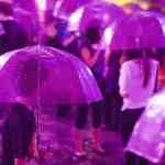 Nuit Blanche 2022: Purple Rain, Pierre Ardouvin's installation at the Climate Academy